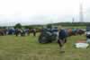 Holsworthy Vintage Rally 2008-Tractor Display-Photo id 6848