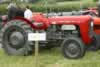 Holsworthy Vintage Rally 2008-Massey Ferguson 36-Photo id 6851